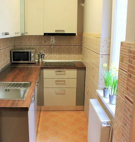 Lidi 부다페스트